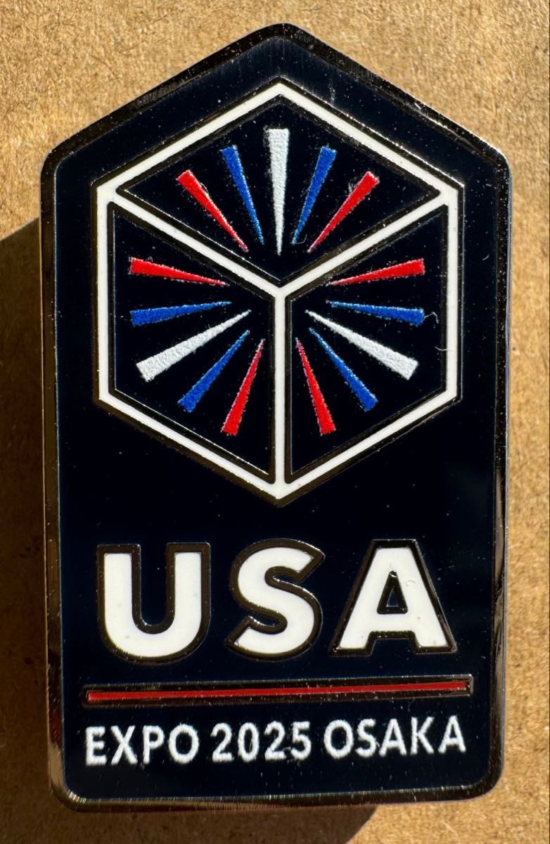 EXPO2025 大阪・関西万博 国連 パビリオン 万博限定 WOODEN PIN