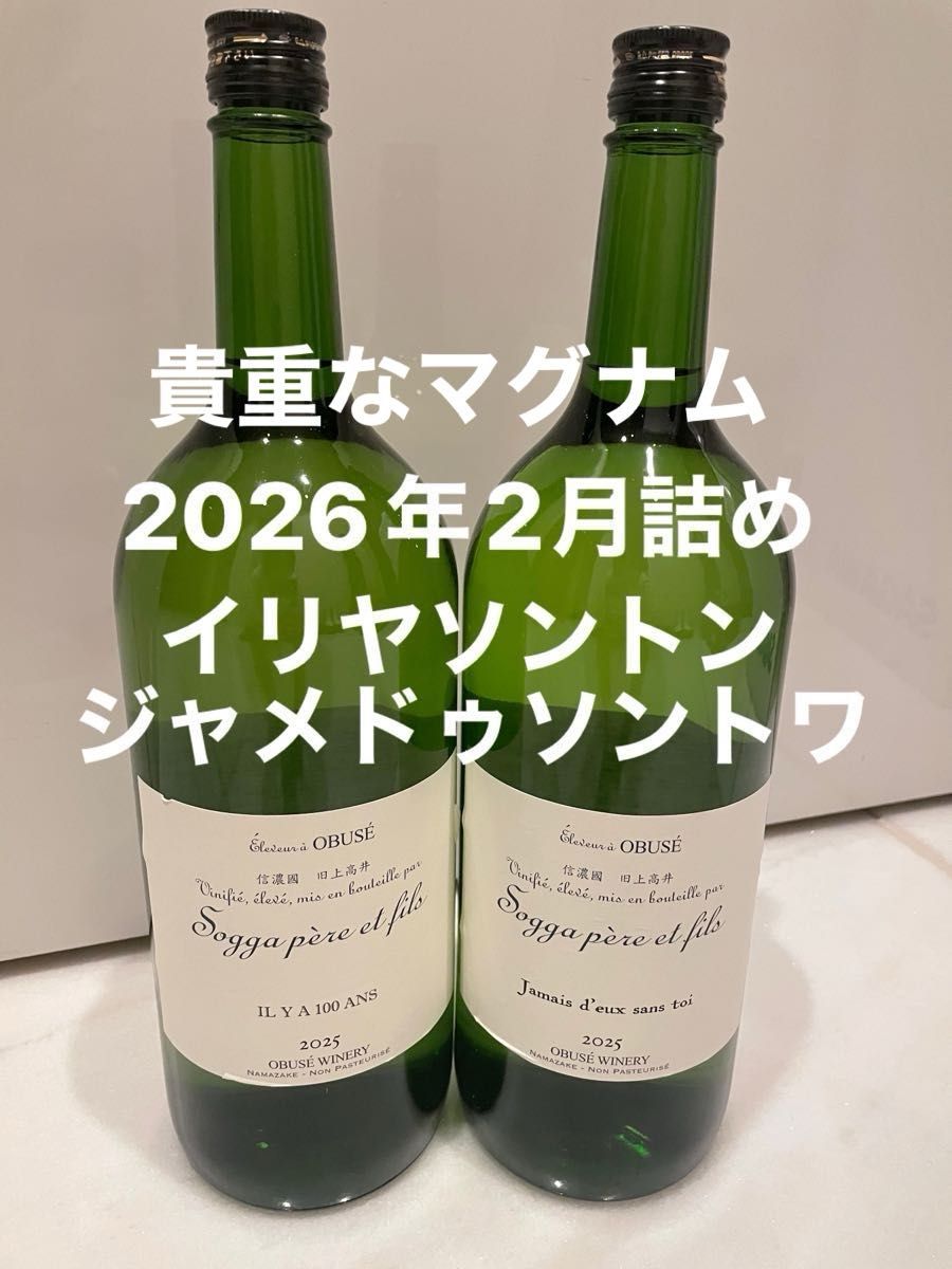 2026年1月出荷 ソガペールエフィス 小布施ワイナリー ヌメロシス 6号
