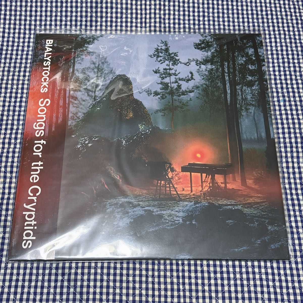 Bialystocks Songs for the Cryptids レコード LP アナログ｜Yahoo