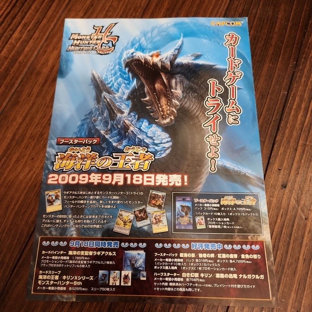 イイダページ モンスターハンターハンティングカード モンハン