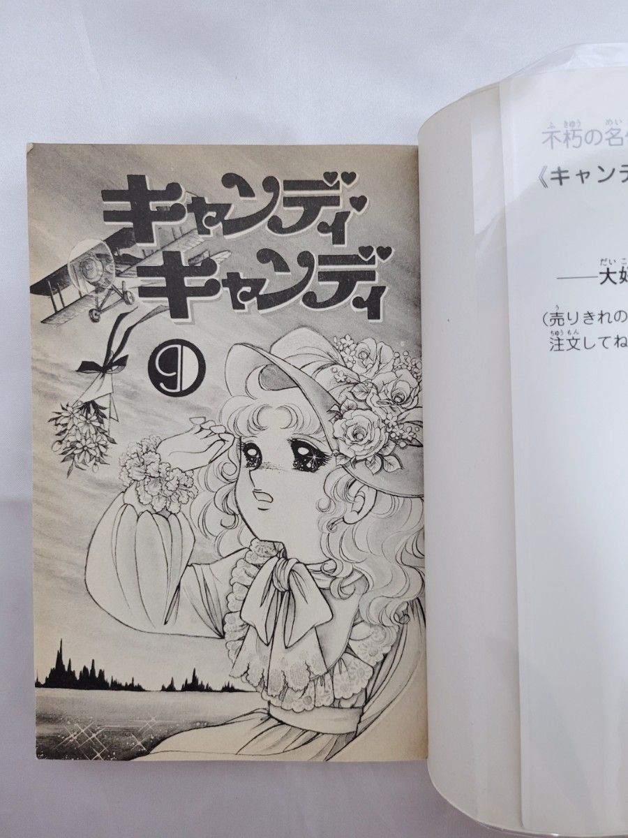 不朽の名作キャンディキャンディ全巻9巻[完]/全巻新装版/美品/K03