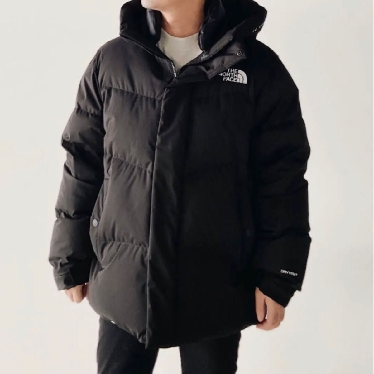 THE NORTH FACE 新品未使用 韓国正規品 ノースフェイス フリームーブ