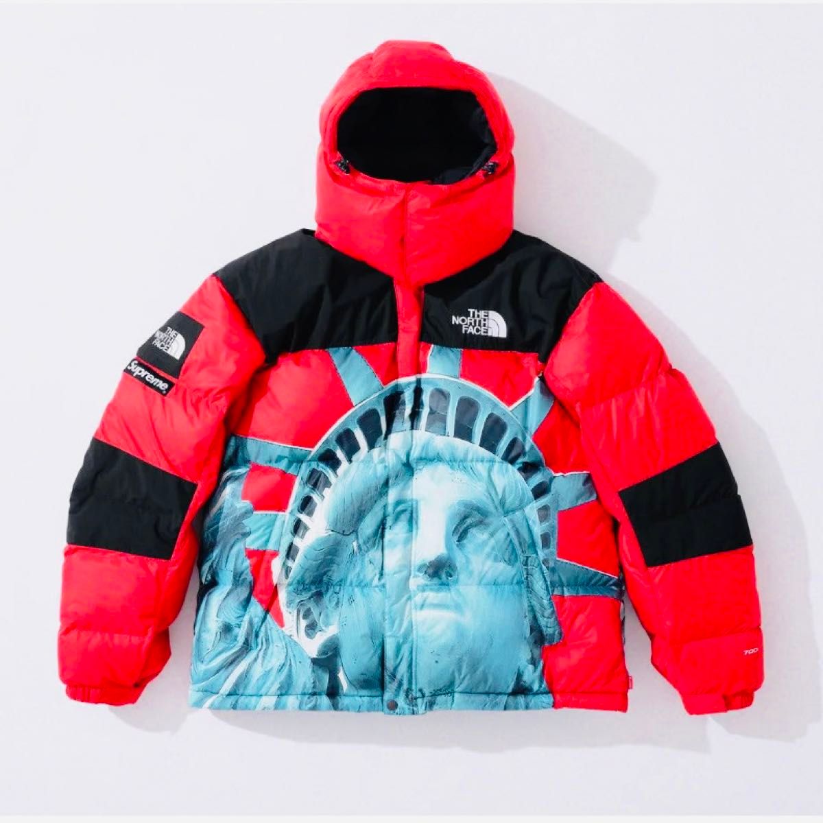 美品】Supreme シュプリーム ノースフェイス 自由の女神 バルトロ