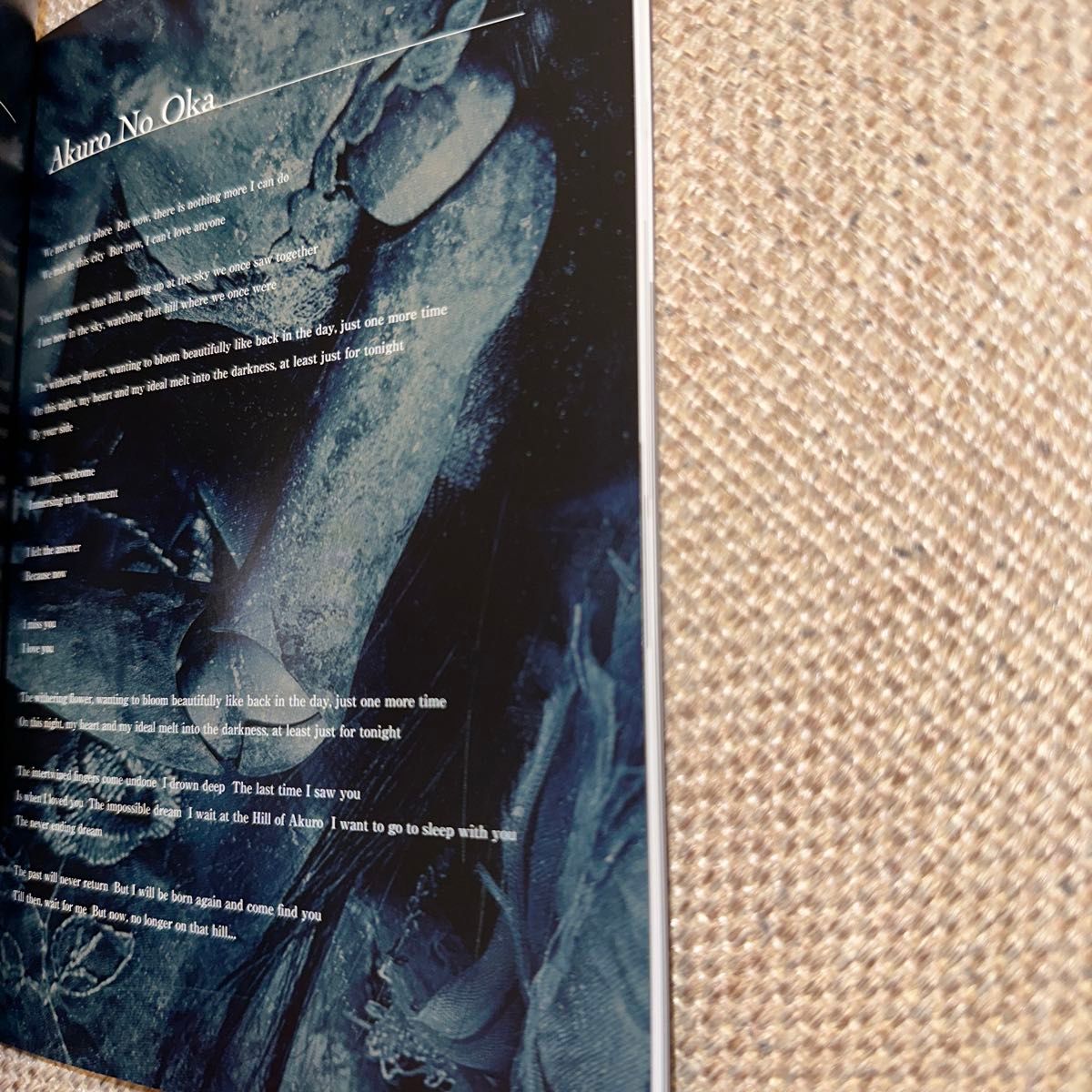 DIR EN GREY ／ 19990120 (完全生産限定盤 CD＋DVD)｜Yahoo!フリマ（旧