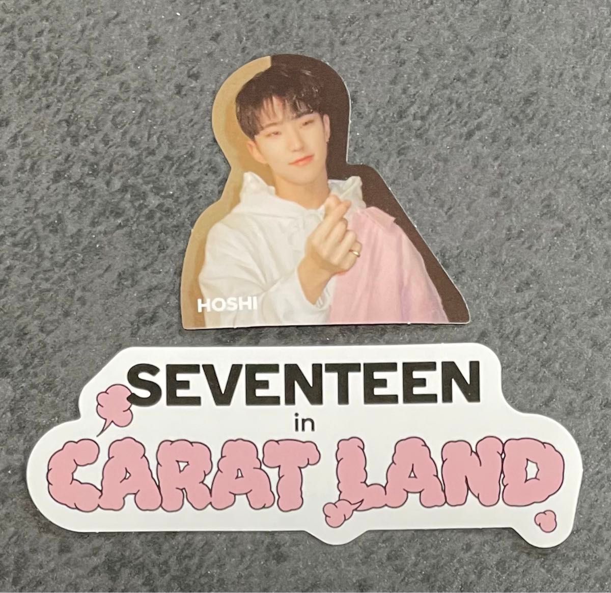 ホシ】2023 seventeen CARAT LAND ペンミ トレカ フォトカード