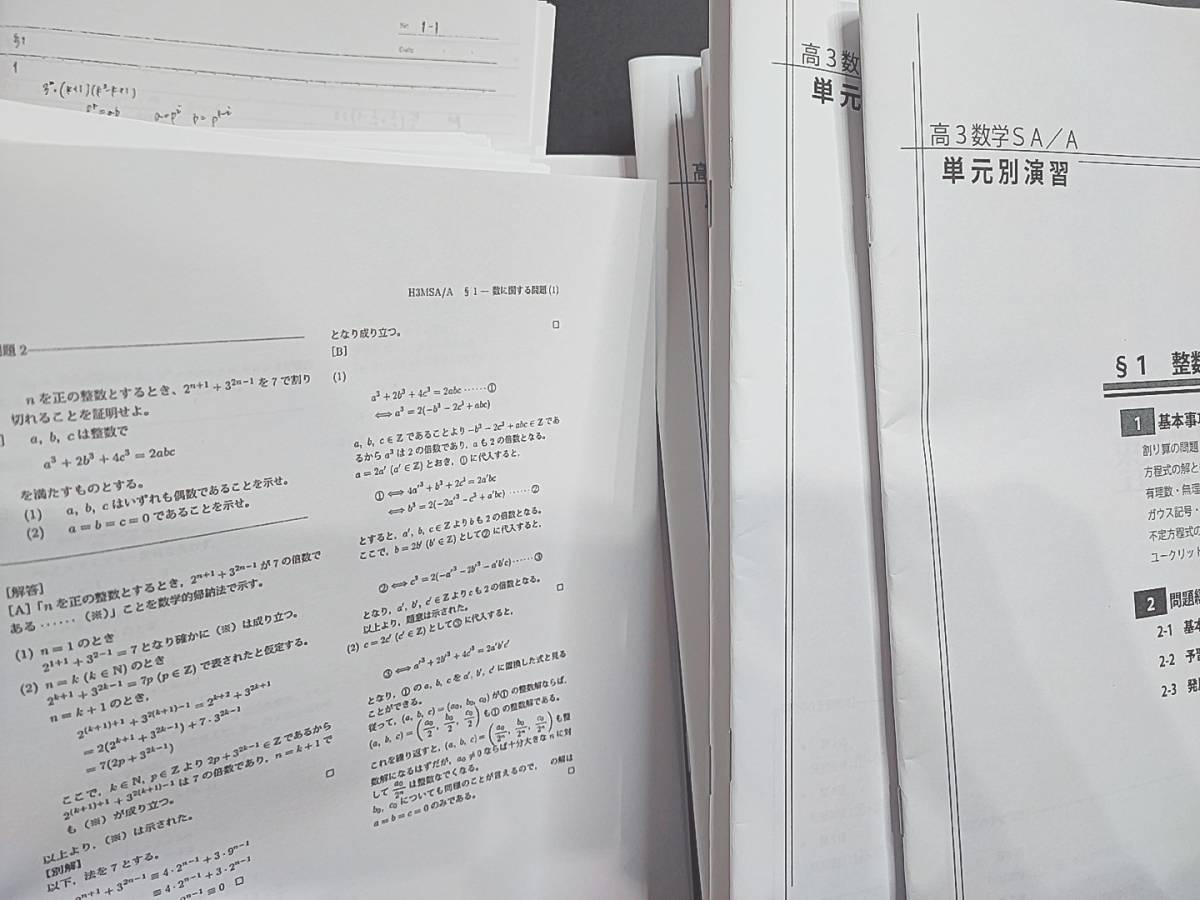 鉄緑会 最上位クラスSA 大阪校 鶴田先生 高3理系数学単元別演習（SA/A