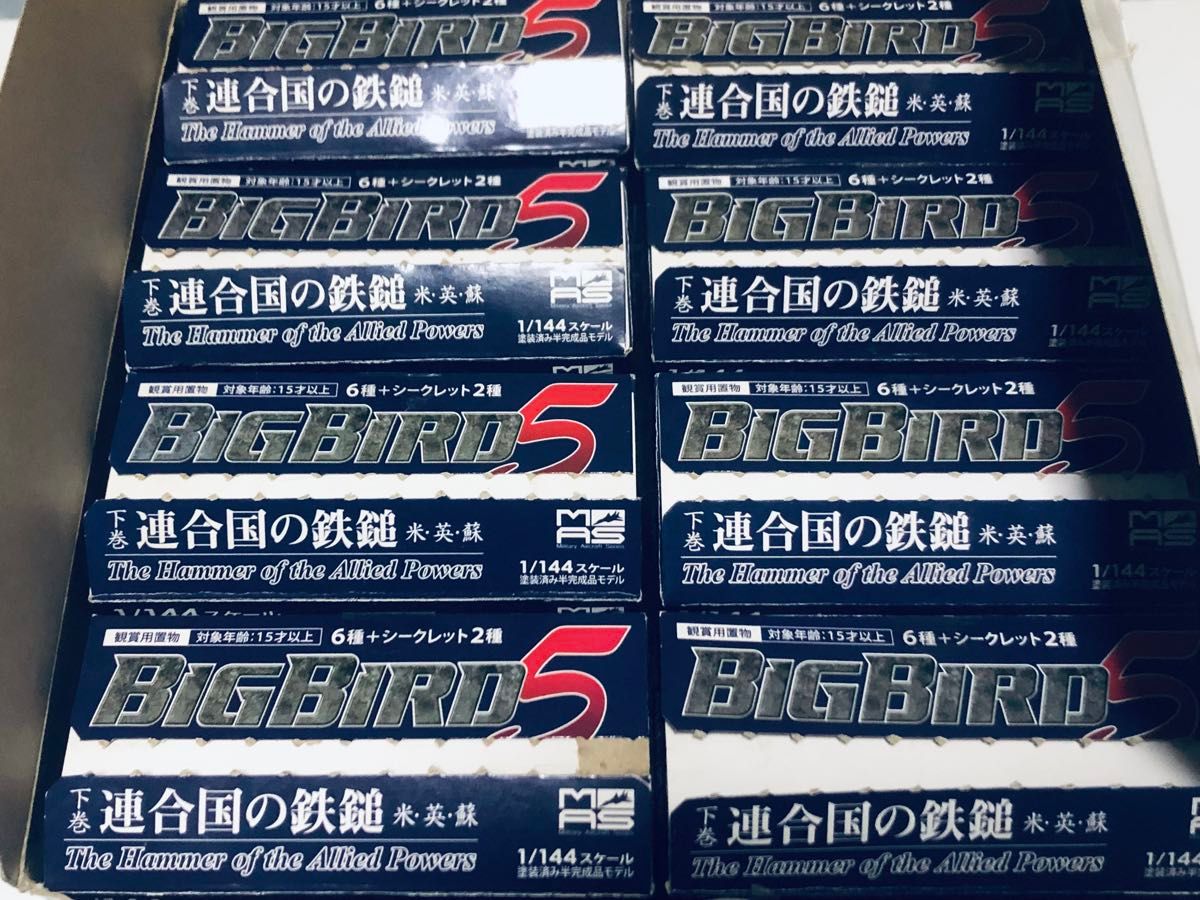 ビッグバード 1/144 ミリタリーエアクラフトシリーズ BIG BIRD Vol 5