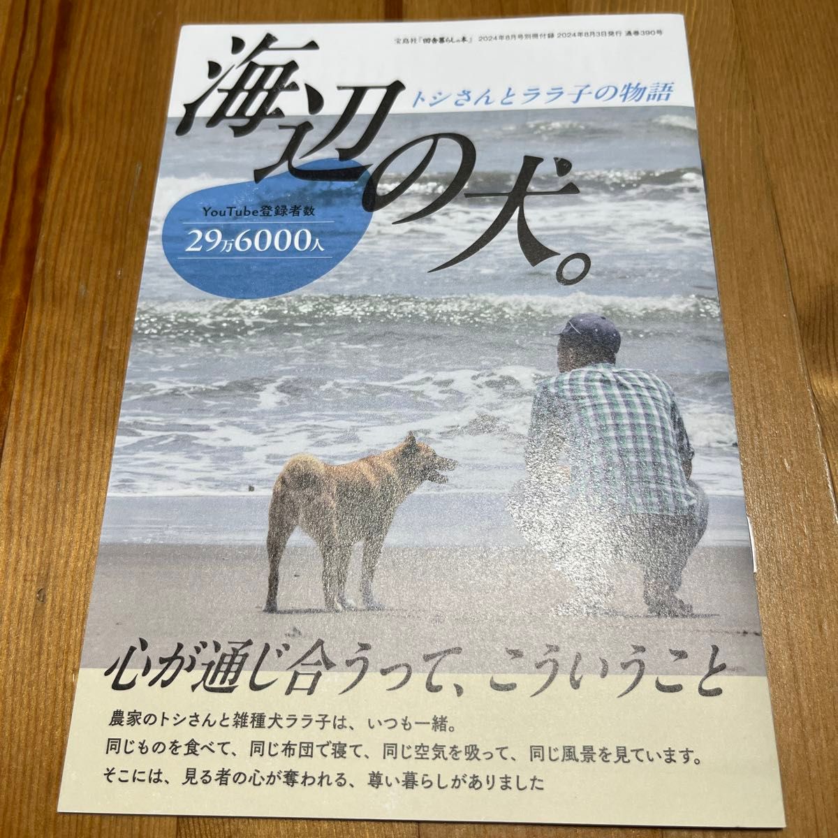 新品未読 田舎暮らしの本 2024年8月号 付録 海辺の犬｜Yahoo!フリマ