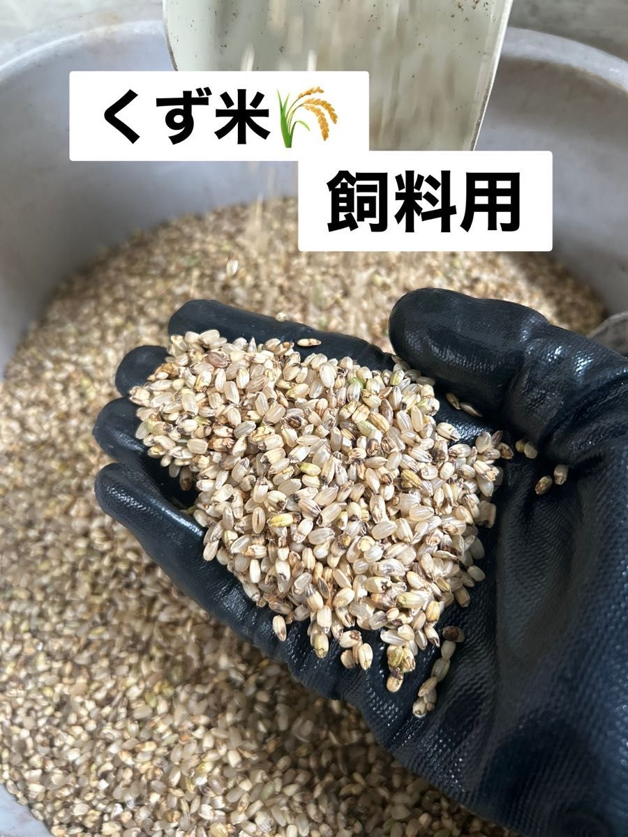 令和6年 クズ米 くず米 玄米 飼料用 20kg｜Yahoo!フリマ（旧PayPayフリマ）