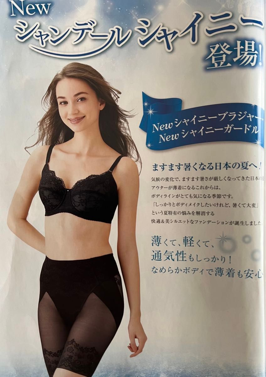 シャンデールシャイニー ブラジャーD75 フルカップ グラマーカップ
