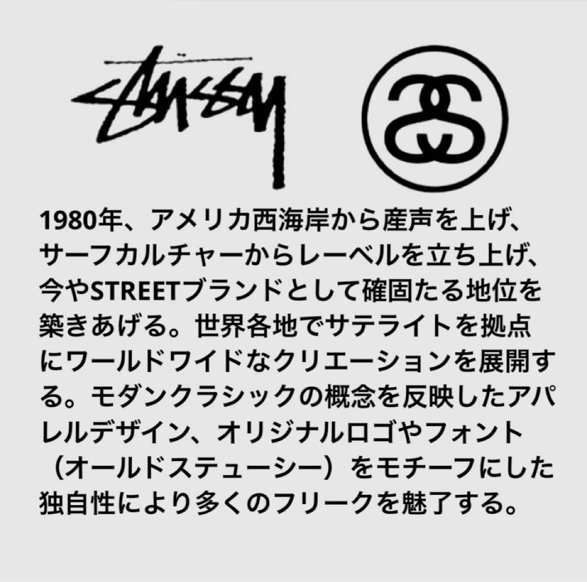STUSSYステューシー クラウン ネックレス 純正チェーンと925チェーン