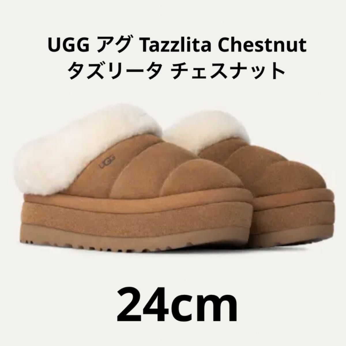 UGG Tazzlita 7 (US) 24cm チェスナット 新品未使用正規品 アグ