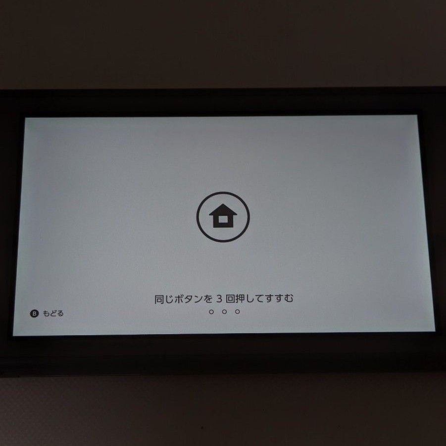 Nintendo Switch Lite グレー 2019年製 本体 動作確認済み スイッチ