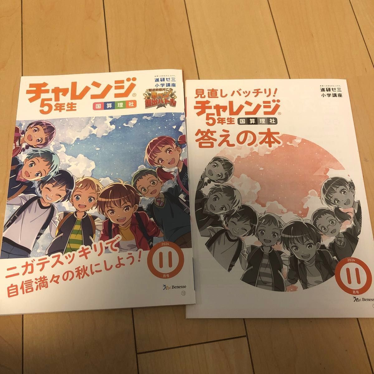 専用出品 チャレンジ五年生 進研ゼミ小学講座 5年生 チャレンジ