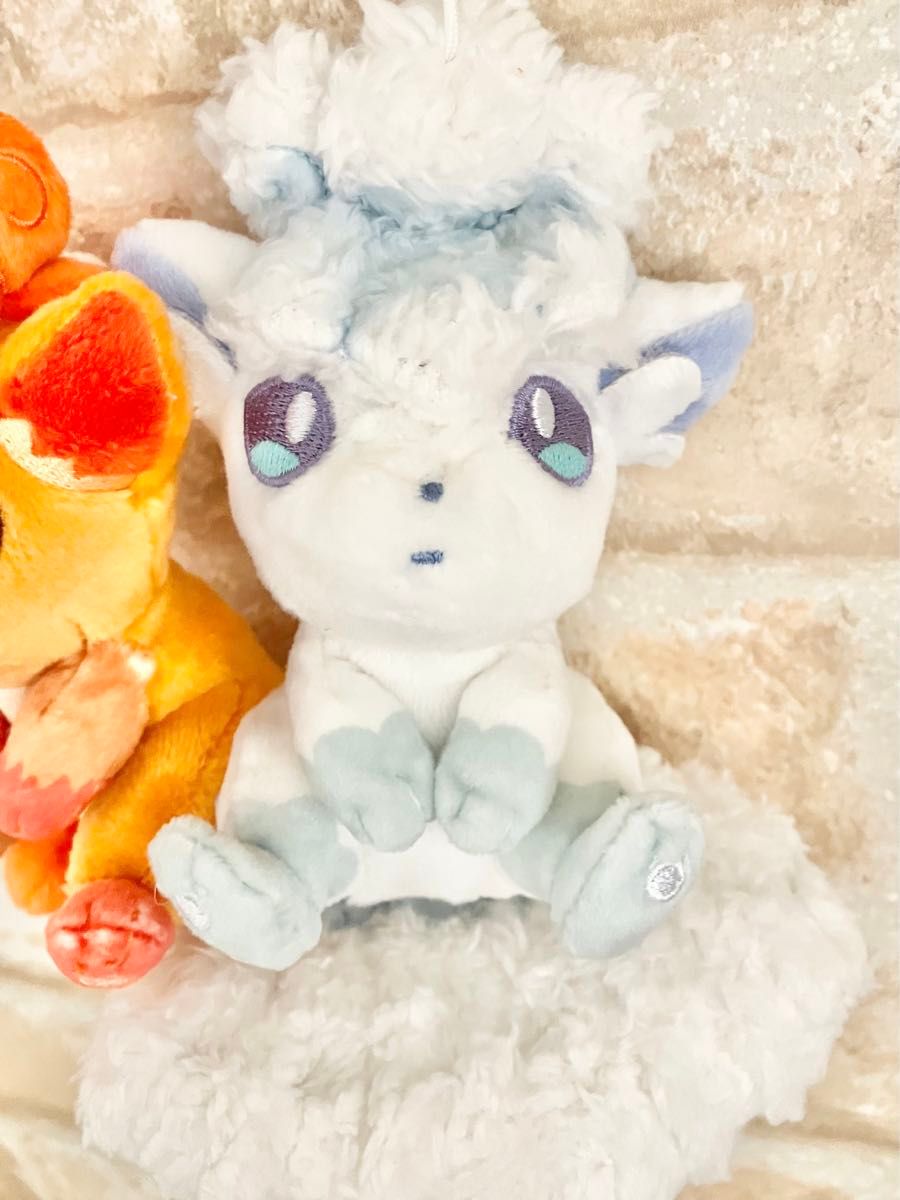 タグ付き ポケモンセンター限定 にたものどうし ロコン＆アローラ