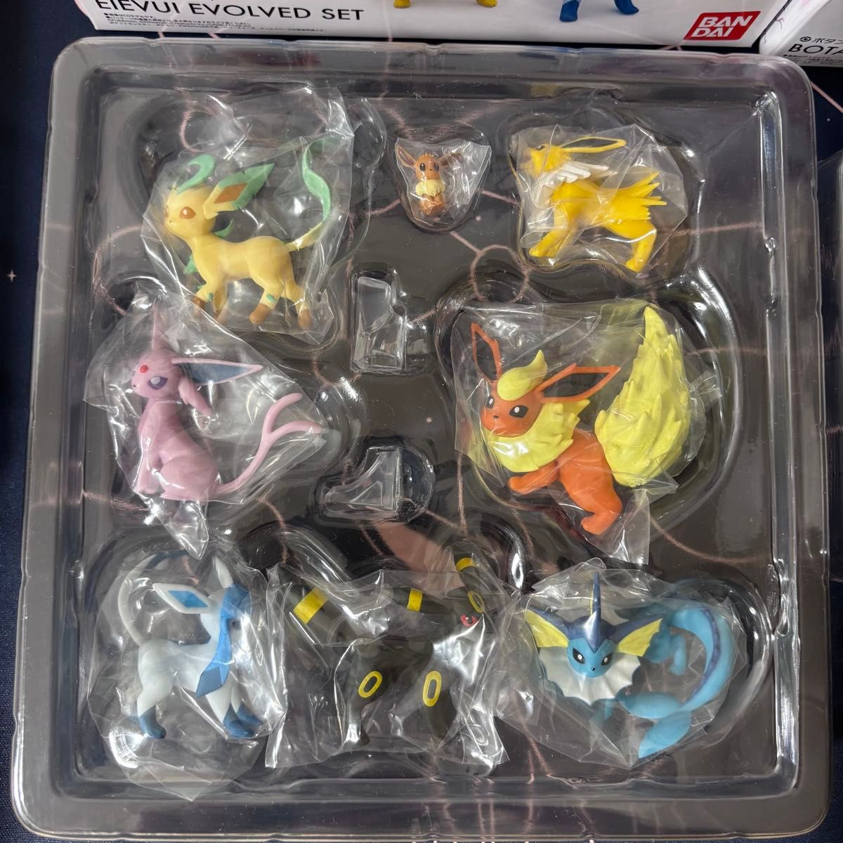 開封のみ ポケモンスケールワールド パルデア地方 イーブイ進化セット