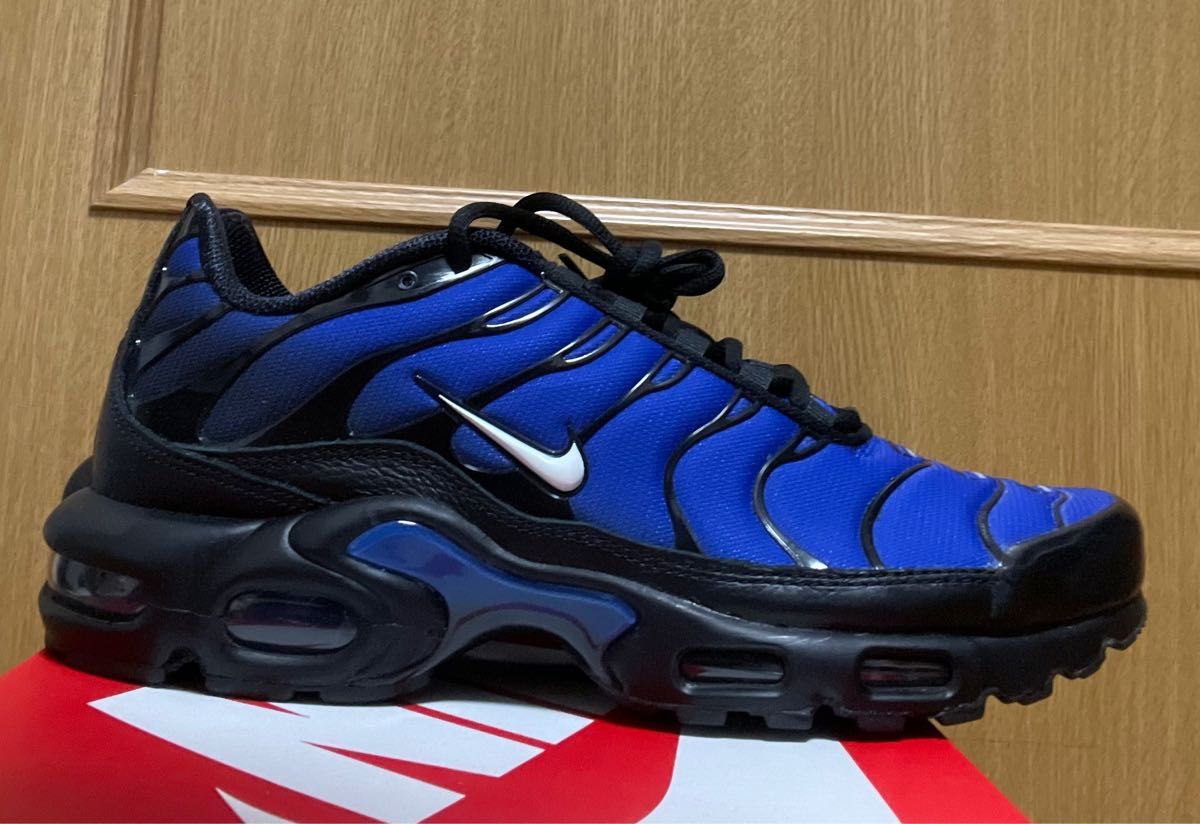 NIKE AIR MAX PLUS PRM ナイキ エア マックス プラス プレミアム 28cm