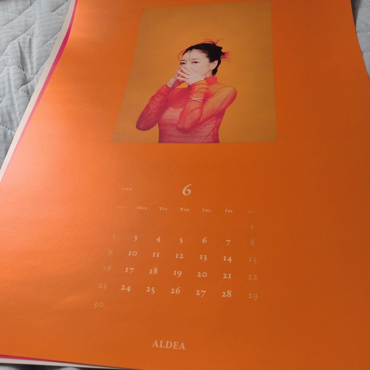 中森明菜ファンクラブALDEA 2024年ポスターカレンダー 赤 中森明菜
