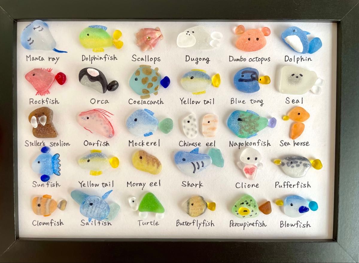 シーグラスアート No122 図鑑 海の生き物 6×5 置物 欧米 A5 クラゲ