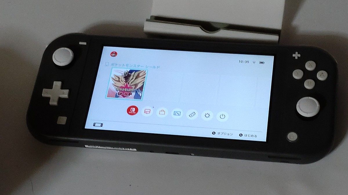 Nintendo Switch Lite グレー ニンテンドースイッチ ライト 任天堂 訳
