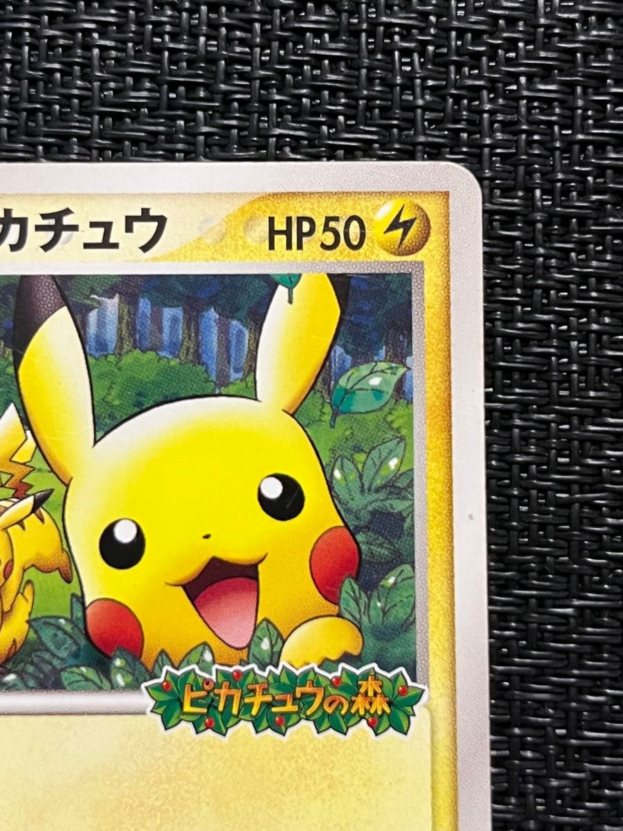 ポケパークのピカチュウ ポケモンカード プロモ｜Yahoo!フリマ（旧