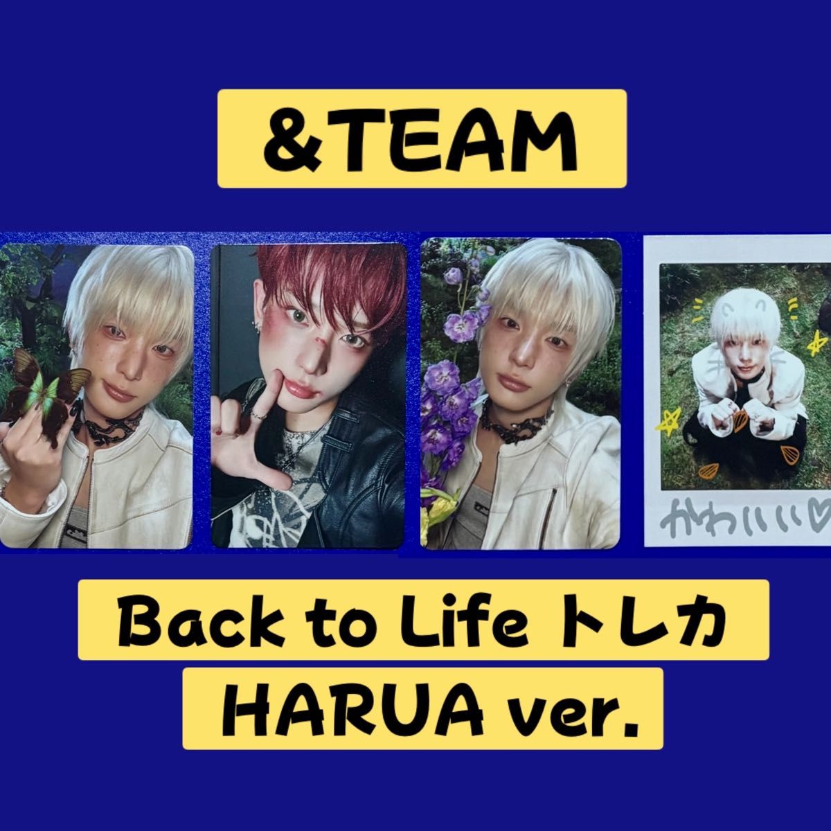 &TEAM KR 1st miniアルバム「Back to Life」トレカセット【HARUA ver