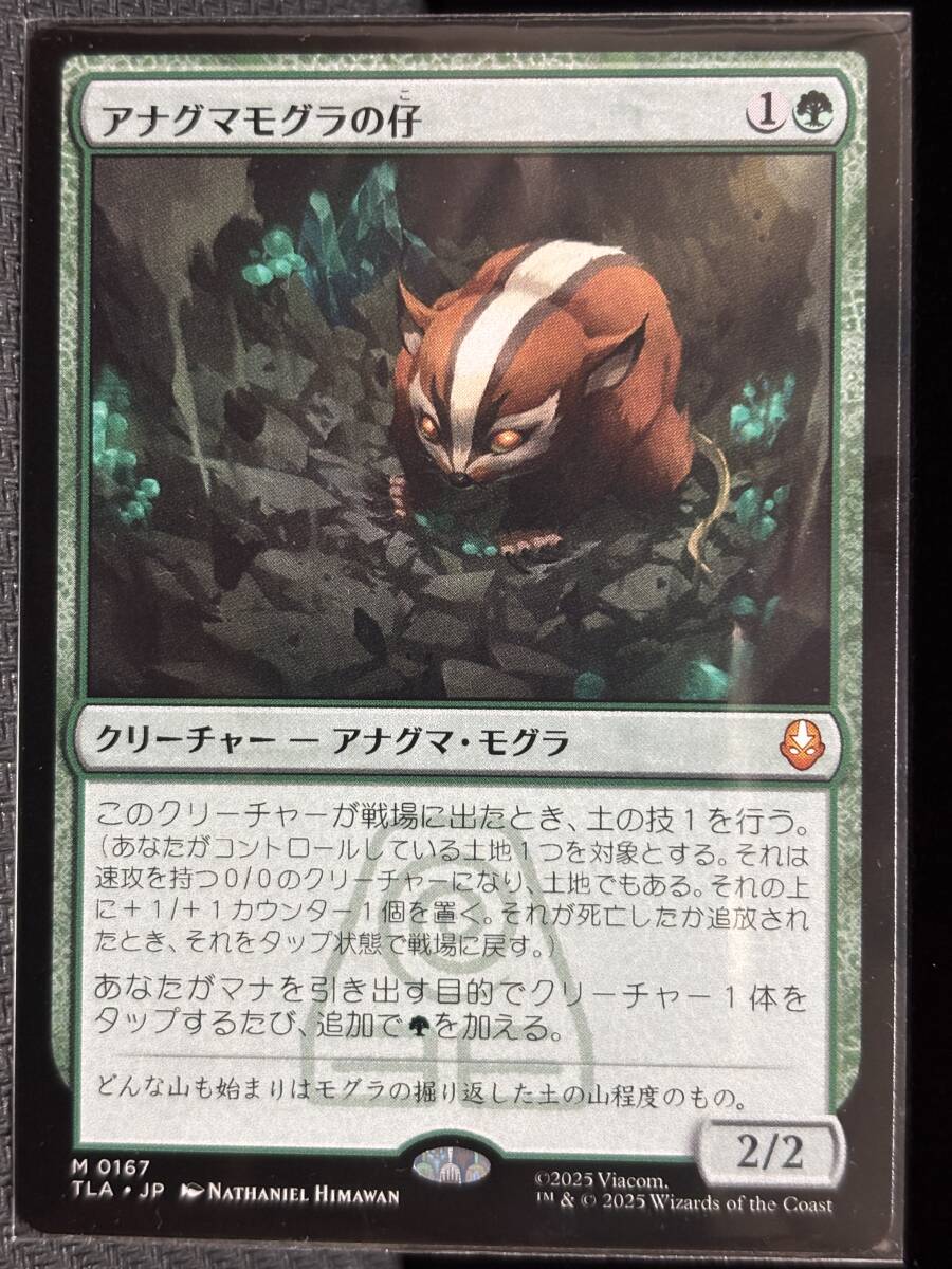 MTG アバター 伝説の少年アン TLA M 0167 アナグマモグラの仔