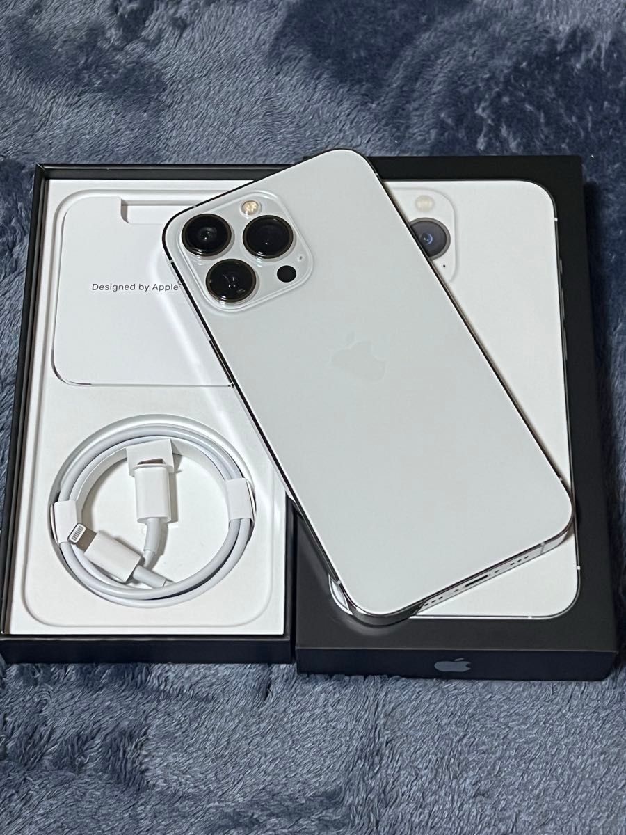 本日限定価格_値下げ不可【バッテリ100% 】iPhone 13 Pro Silver 256GB
