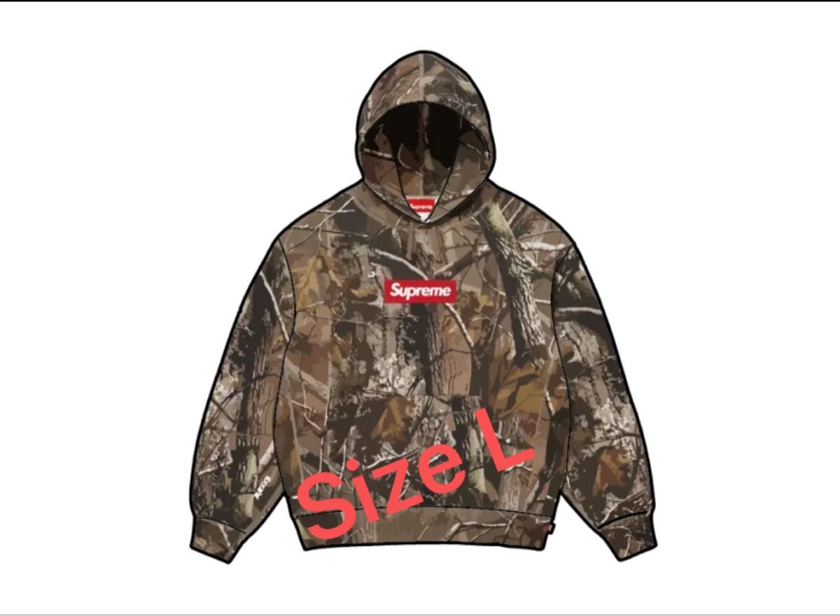 Supreme Box Logo Hooded Sweatshirt (25FW) 