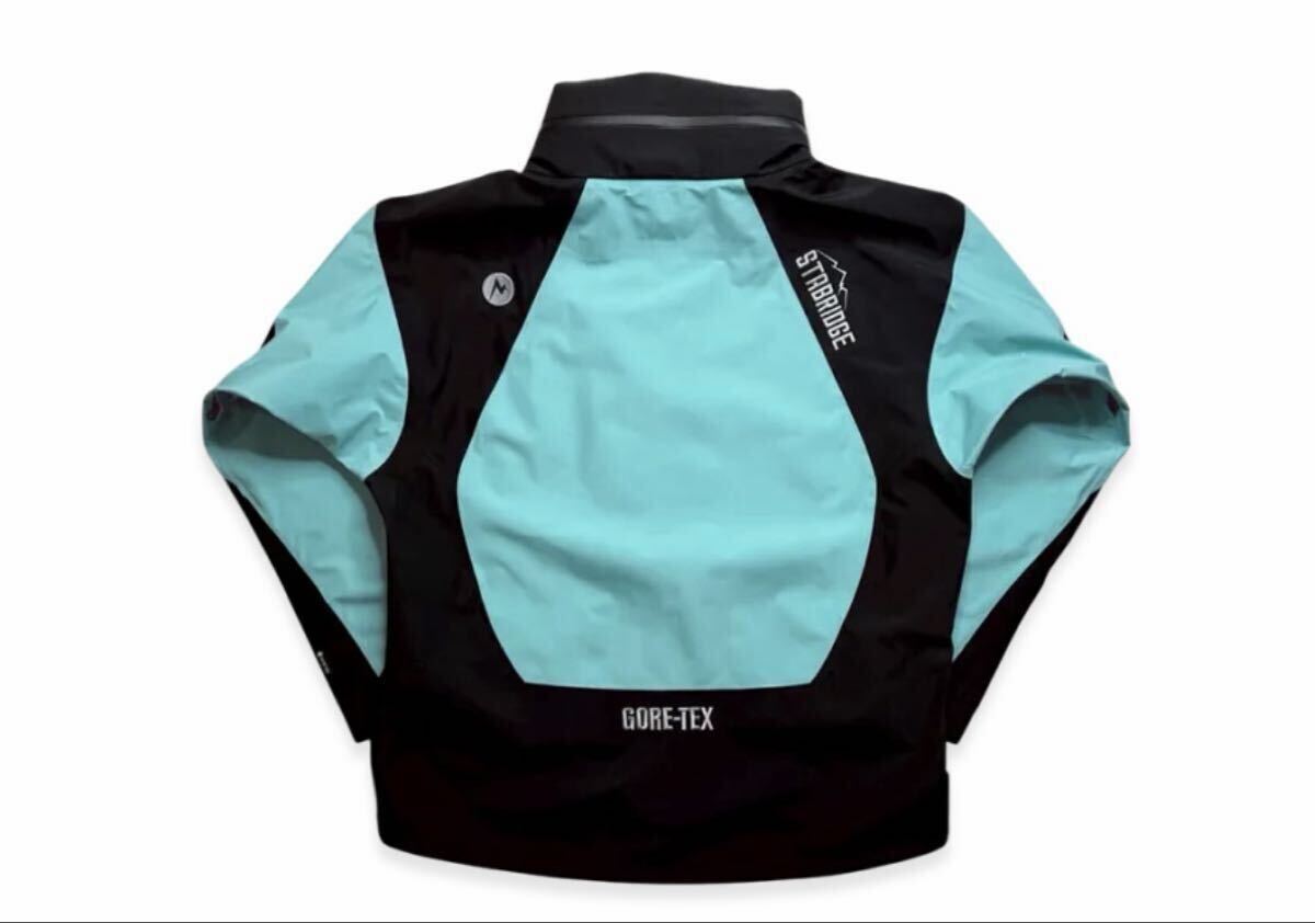 定価以下 Lサイズ 新品未使用 STABRIDGE × Marmot GORE-TEX 3L