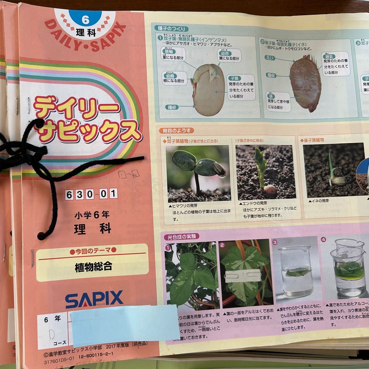 SAPIX6年理科 一年分セットSS特訓デイリーチェック ウィクリー