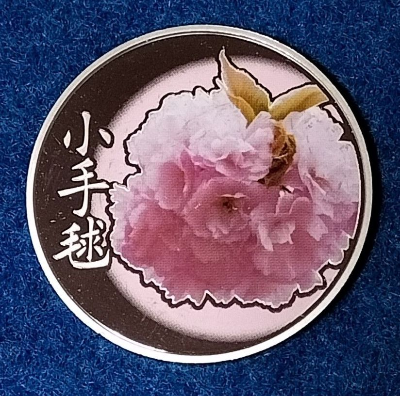 桜の通り抜けプルーフ貨幣セット出し銀メダル 20g｜Yahoo!フリマ（旧