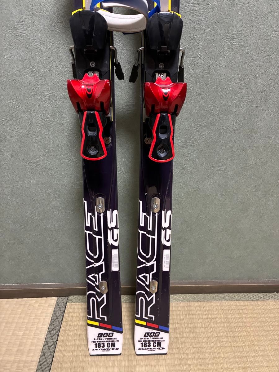 Salomon 183㎝ GSレーシングスキー Salomon 183㎝ GSレーシングスキー