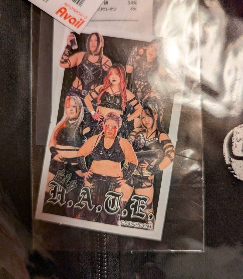 スターダム 上谷沙弥 LL ジップパーカー スウェット上 STARDOM HATE