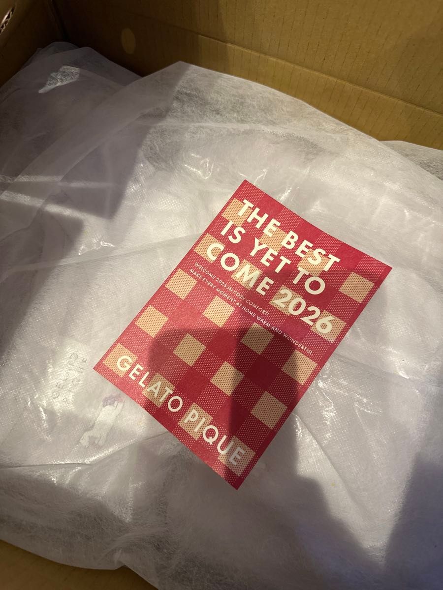 GELATO PIQUE HAPPY BOX 2026 A 抜き取りなし ジェラートピケ 福袋