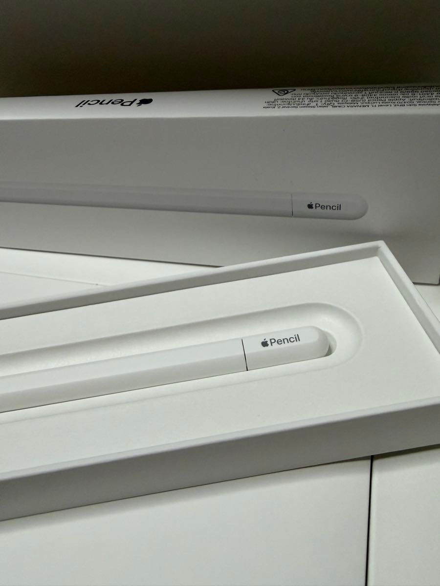 純正 Apple Pencil（USB-C）｜Yahoo!フリマ（旧PayPayフリマ）