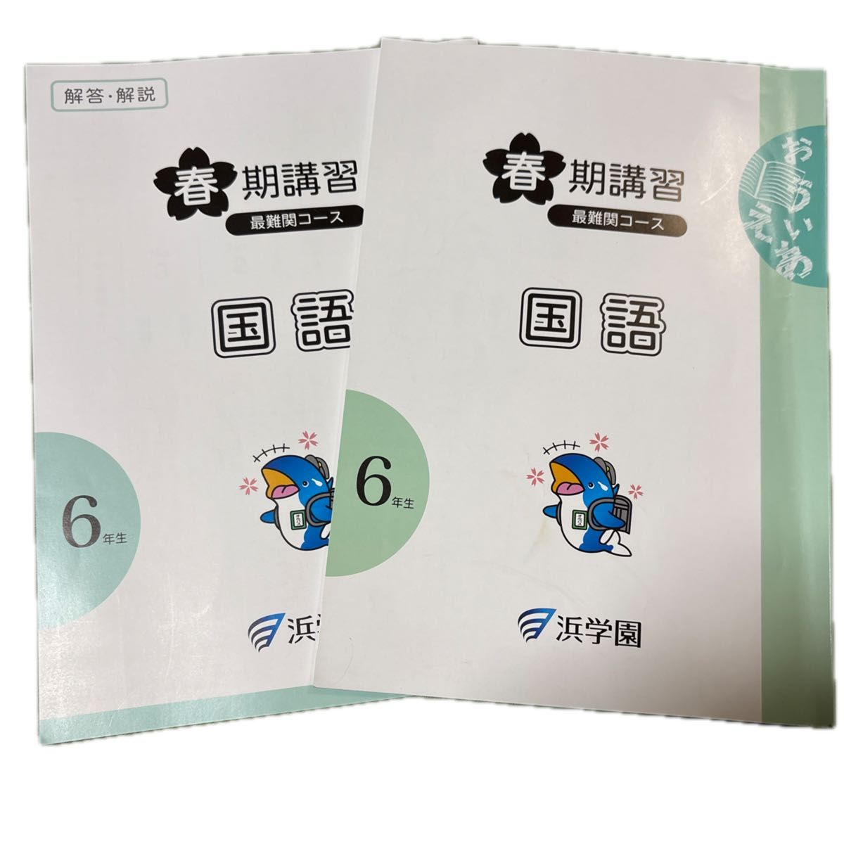 浜学園 小6 国語 春期講習 最難関コース 解答・解説 2冊セット｜Yahoo