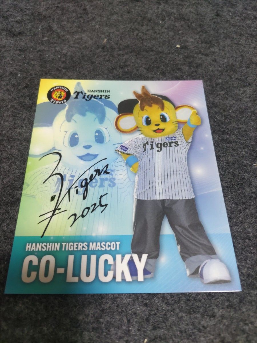2026 阪神タイガース 春季キャンプ限定ユニフォーム 1 森下 おまけ