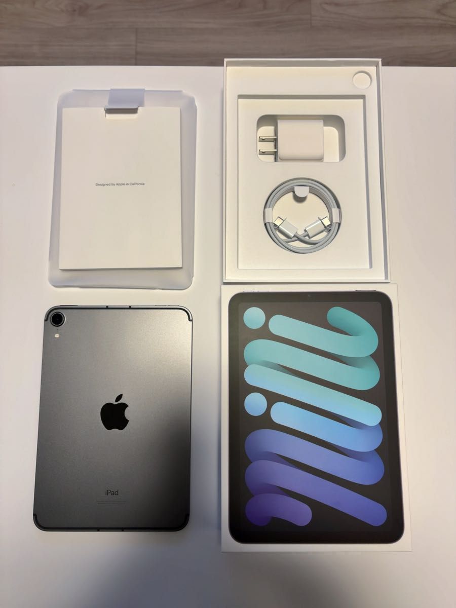 極美品】iPad mini 第6世代 Wi-Fi+Cellular スペースグレイ64GB Apple