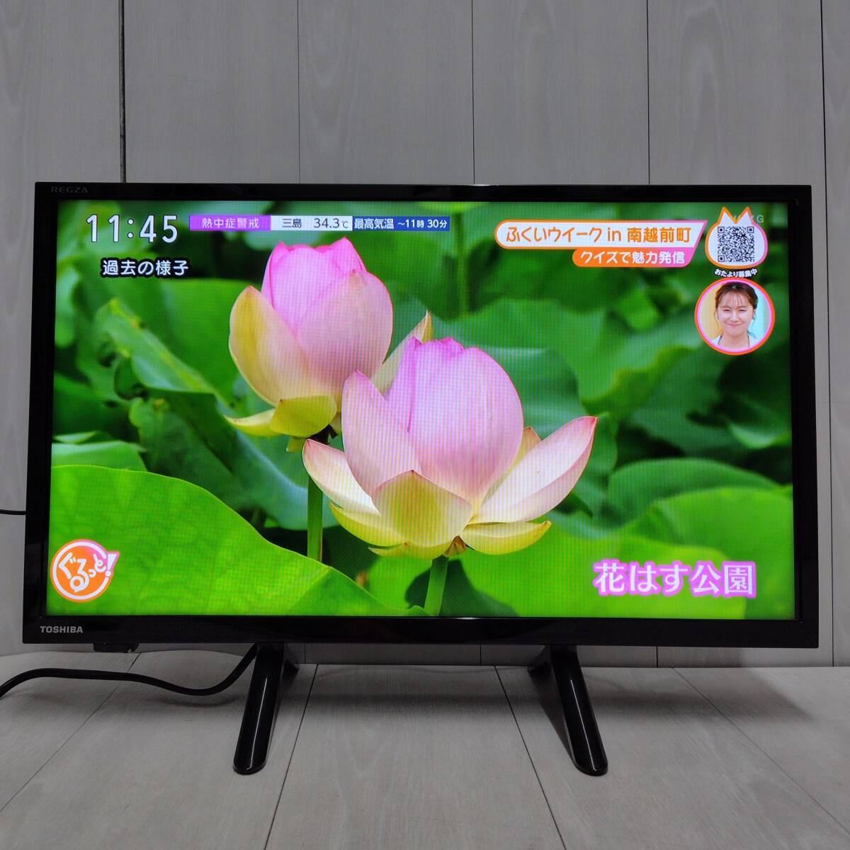 TOSHIBA REGZA 24V型 ハイビジョン 液晶テレビ 24V34 東芝 レグザ V34