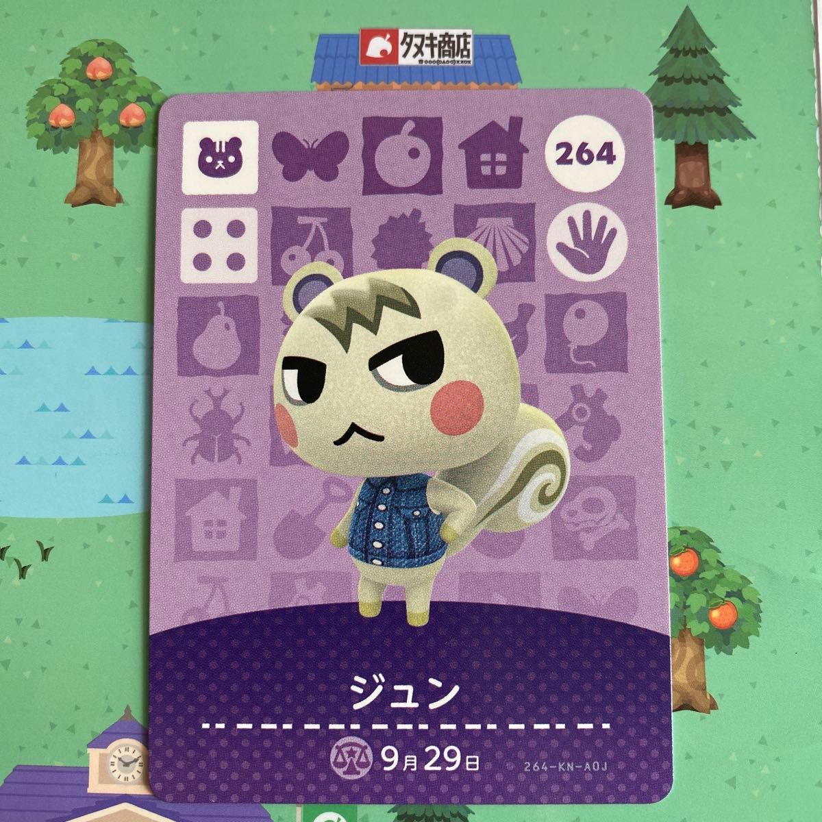 あつまれどうぶつの森 amiiboカード ジュン｜Yahoo!フリマ（旧PayPay