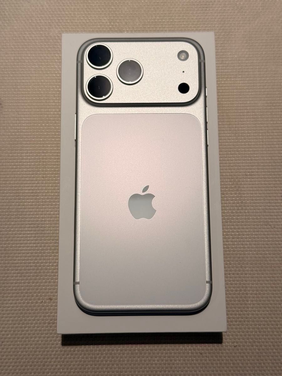 未使用品 香港版 iPhone 17 Pro Max 256GB シルバー 物理SIM 限定保証