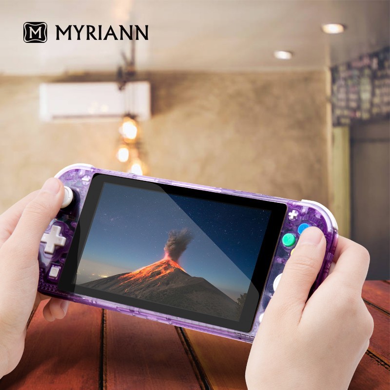 ニンテンドースイッチライト 交換用シェル 外装シェル クリアパープル
