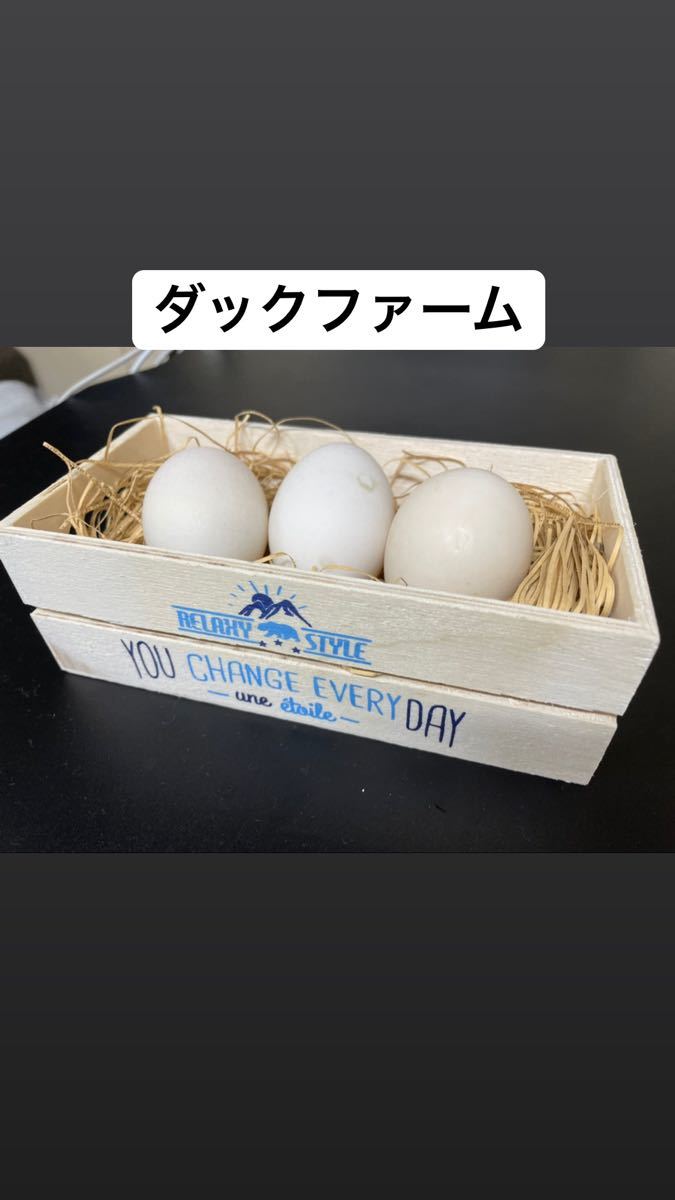 10kg 送料無料 MS 小分け売り相談可 〈コールダック・水鳥全般 プロ用