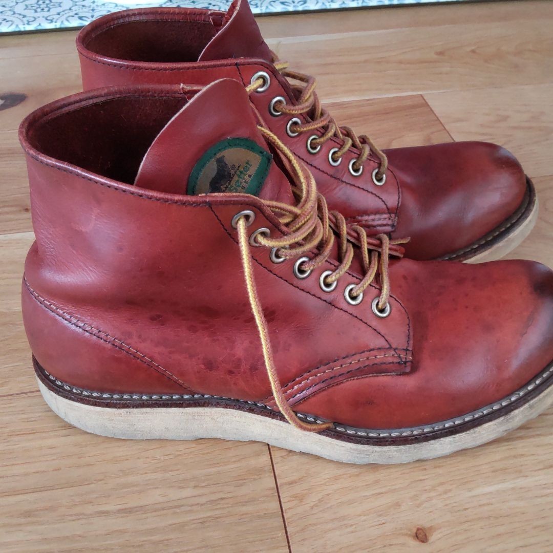 RED WING レッドウィング 半円犬タグ アイリッシュセッター 8166