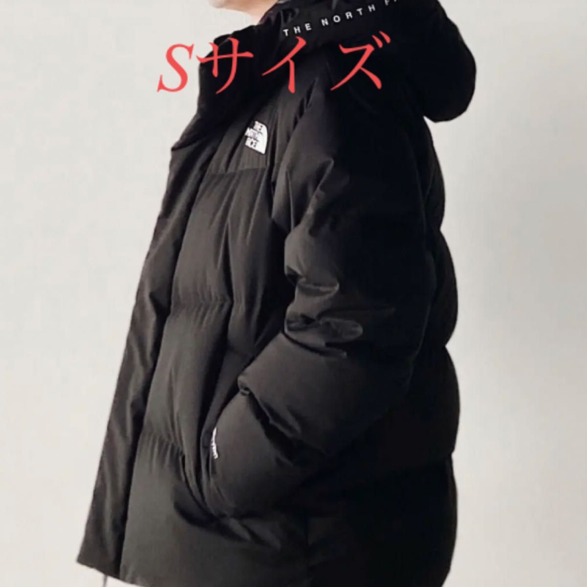 THE NORTH FACE 新品未使用 韓国正規品 ノースフェイス フリームーブ