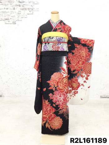 振袖】黒/赤・牡丹・菊 | 二十歳振袖館Az