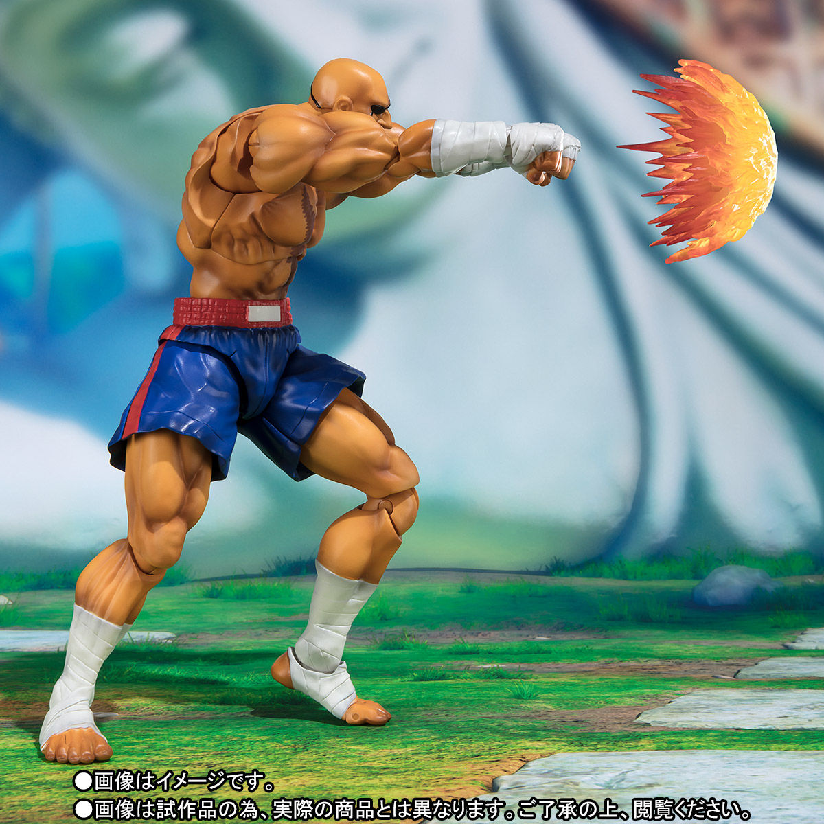 S.H.Figuarts サガット | フィギュア | アニメグッズ ・おもちゃなら