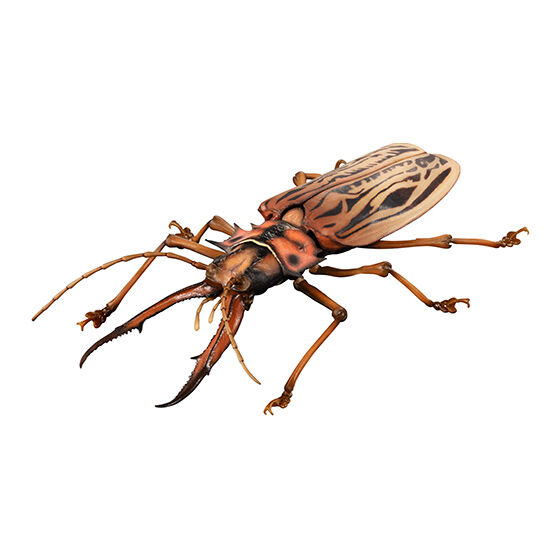 いきもの大図鑑アドバンス オオキバウスバカミキリとハンミョウ