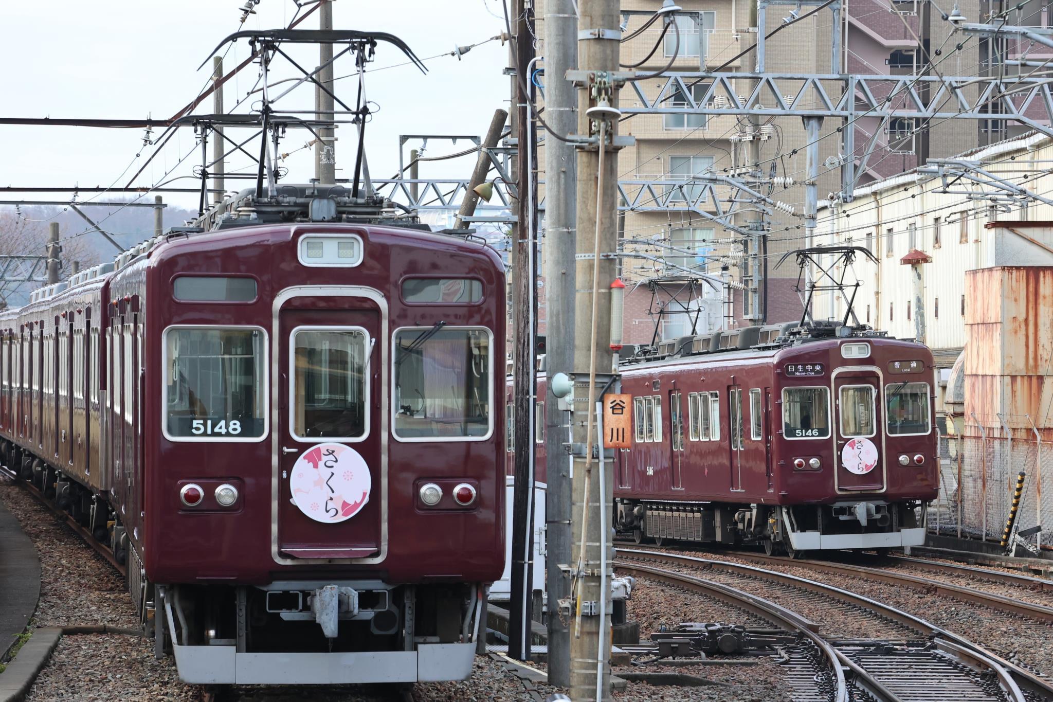 能勢電鉄】さくらヘッドマークが掲出（2025年）（＋5100系10周年